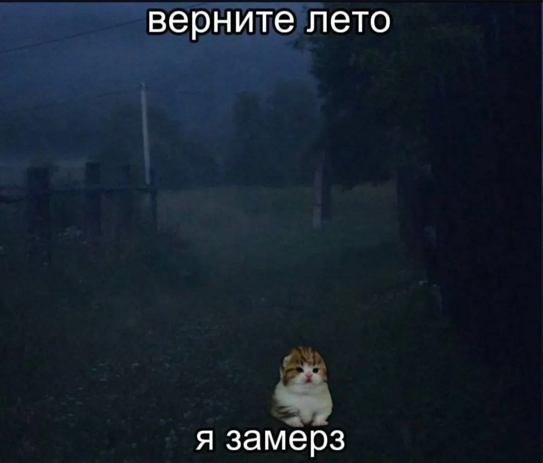 верните лето я замерз