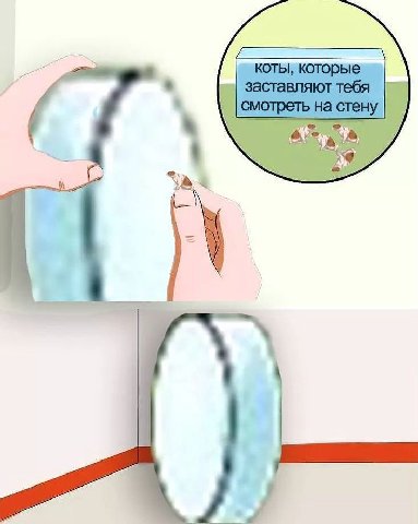 a КОТЫ, которые заставляют тебя у 3 3 у