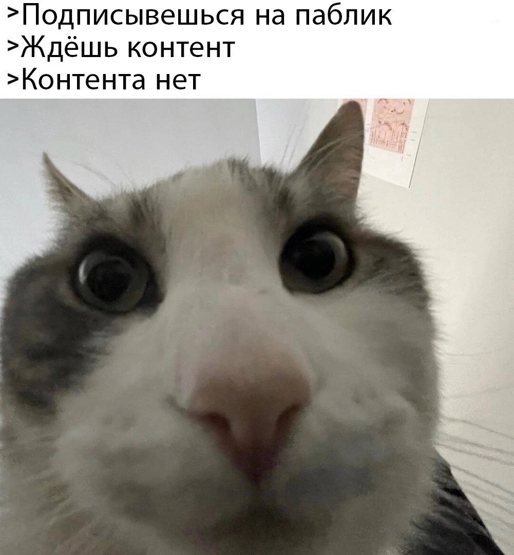 >Подписывешься на паблик >Ждёшь контент >Контента нет