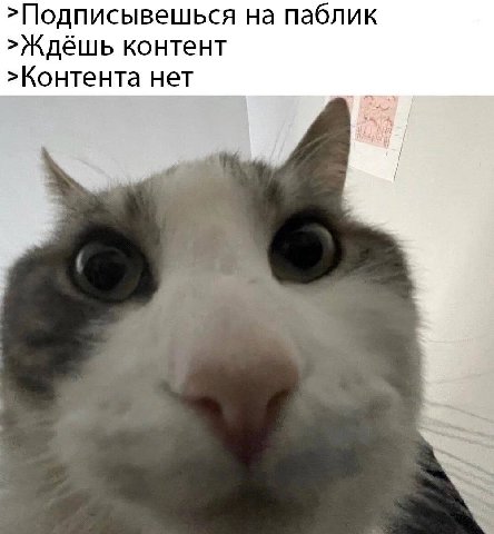 >Подписывешься на паблик >Ждёшь контент >Контента нет