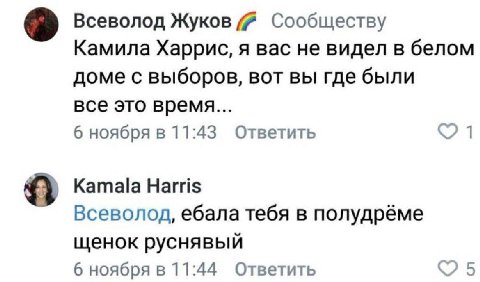Всеволод Жуков Сообществу Камила Харрис, я вас не видел в белом доме с выборов, вот вы где были все это время... 6 ноября в 11:43 Ответить Kamala Harris Всеволод, ебала тебя в полудрёме щенок руснявый
