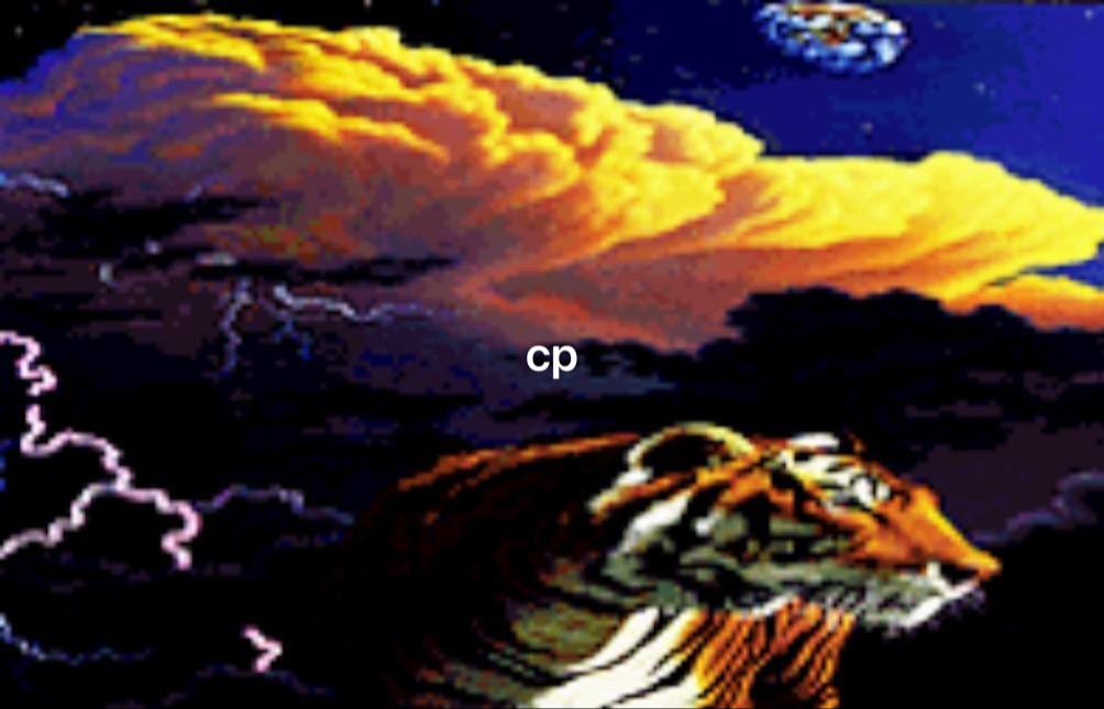 2,