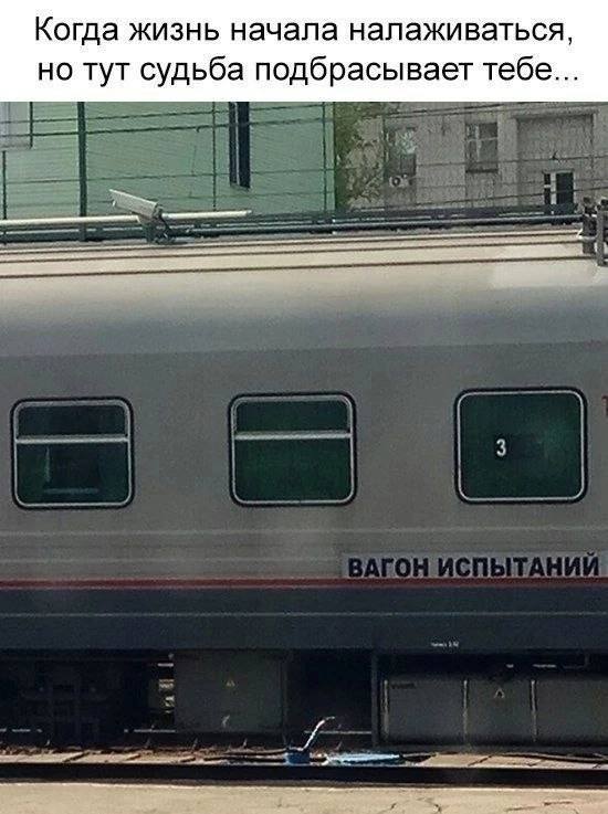 Когда жизнь начала налаживаться, но тут судьба подбрасывает тебе... ЗАГОН ИСПЫТАНИЙ