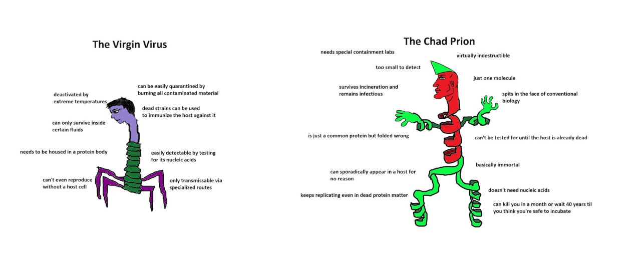 The Virgin Virus The Chad Prion needs special containment labs virtually indestructible too small to detect just one molecule can be easily quarantined survives incineration and deactivated burning al
