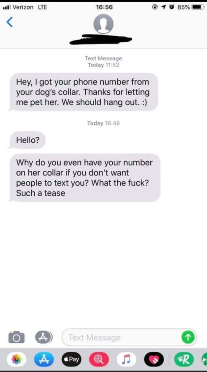 Verizon LTE 16:56 4 9% 85% Text Message Today Hey, got your phone number from your dog's collar. Thanks for letting me pet her. We should hang out. Today Hello? Why you even have your number on her co