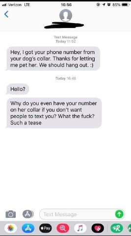 Verizon LTE 16:56 4 9% 85% Text Message Today Hey, got your phone number from your dog's collar. Thanks for letting me pet her. We should hang out. Today Hello? Why you even have your number on her co