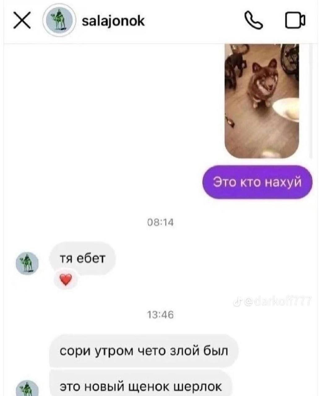 salajonok 08:14 ебет 9 13:46 сори утром чето злой был это новый щенок шерлок