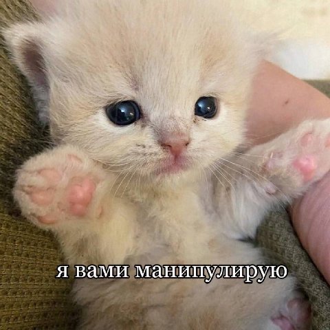 at я вами манипулирую