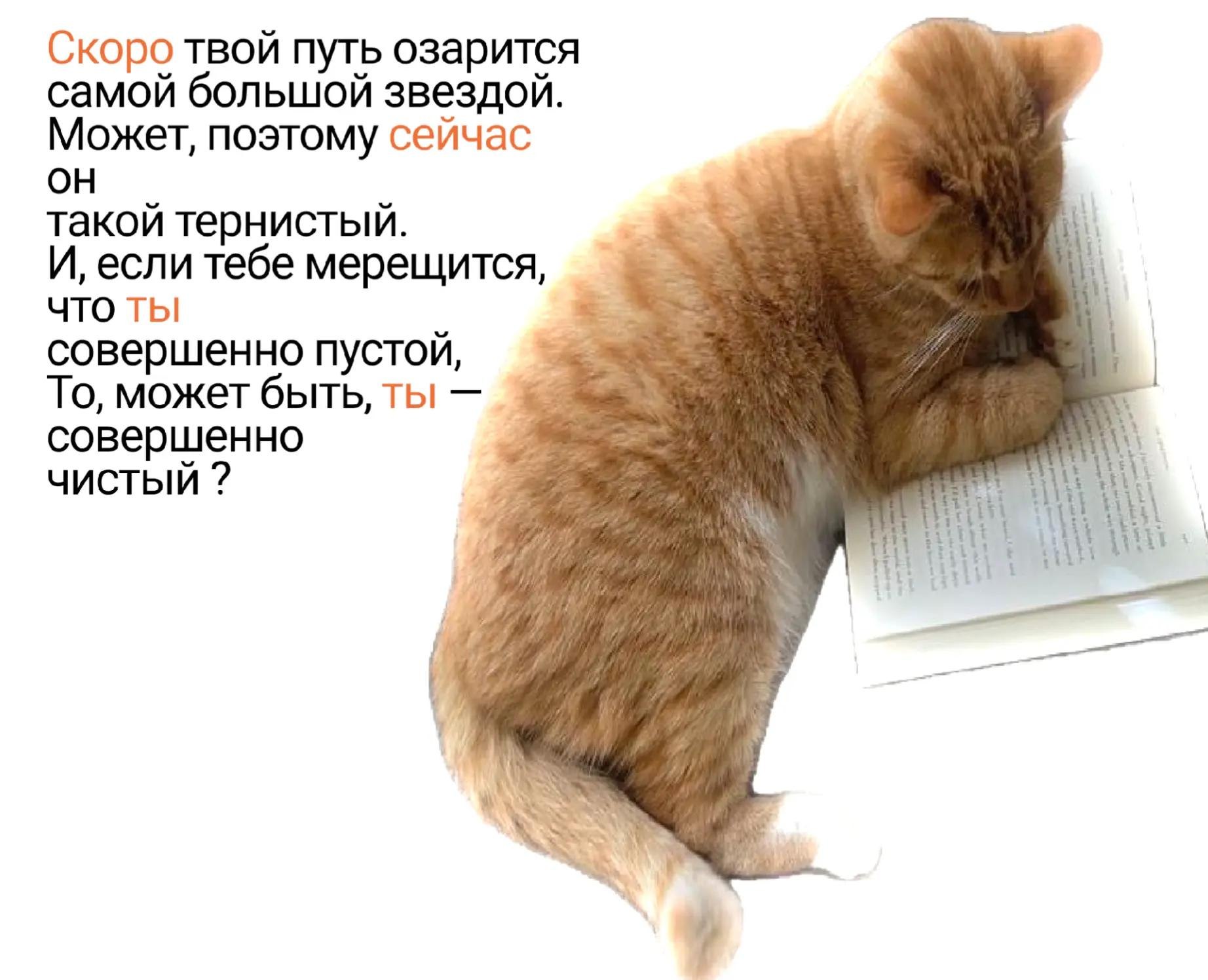 Скоро твой путь озарится самой большой звездой. Может, поэтому сейчас такой тернистый. И, если тебе мерещится, ЧТО ТЫ совершенно пустой, То, может быть, ты! совершенно чистый