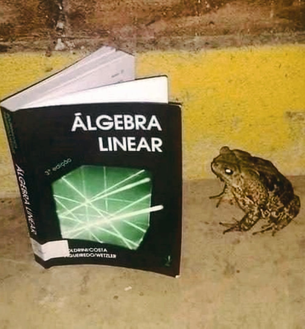ALGEBRA LINEAR