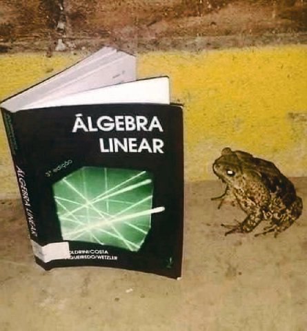 ALGEBRA LINEAR