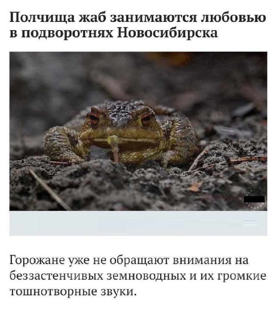 Среда, чуваки!