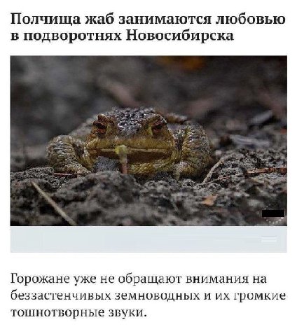 Среда, чуваки!