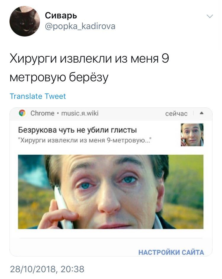 Сиварь @popka_kadirova Хирурги извлекли из меня 9 метровую берёзу Translate Tweet Chrome music.s.wiki сейчас Безрукова чуть не убили глисты "Хирурги извлекли из меня 9-метровую.." НАСТРОЙКИ САЙТА 28/1