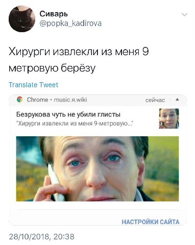 Сиварь @popka_kadirova Хирурги извлекли из меня 9 метровую берёзу Translate Tweet Chrome music.s.wiki сейчас Безрукова чуть не убили глисты "Хирурги извлекли из меня 9-метровую.." НАСТРОЙКИ САЙТА 28/1