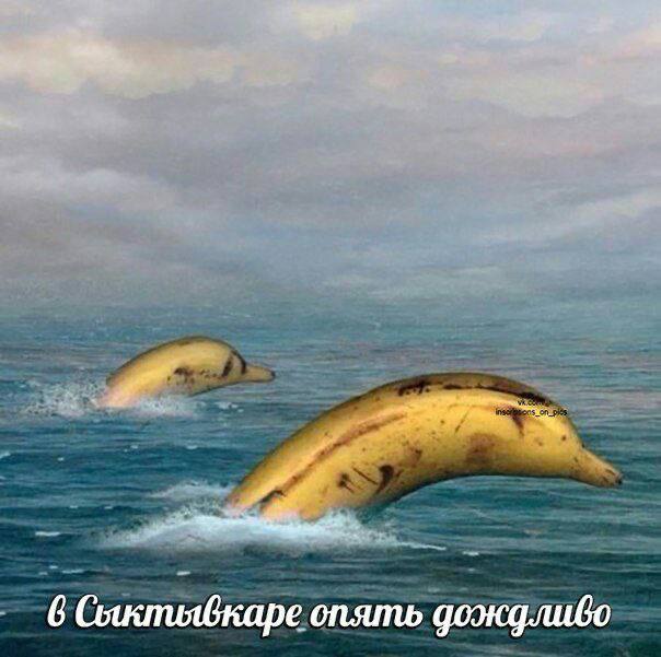 6 опять дождливо