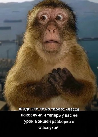 когда кто-то из твоего класса теперьу вас не урок‚а экшен разборки с классухой