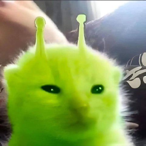 мем
