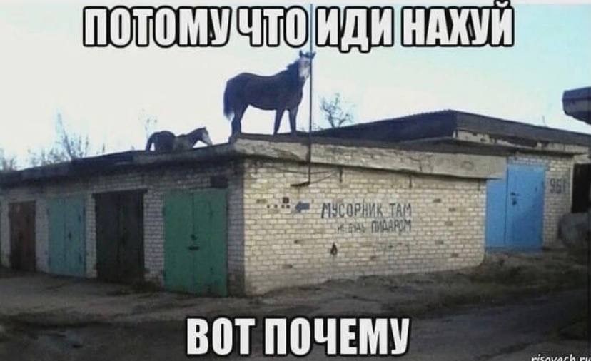ИДИНАХУИ TAM BOT ПОЧЕ У