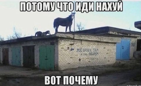 ИДИНАХУИ TAM BOT ПОЧЕ У
