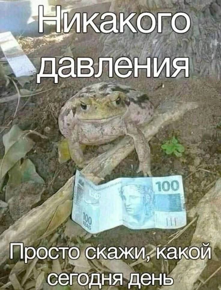 АЧИкакого давления a скажихкакой” сегодня день.