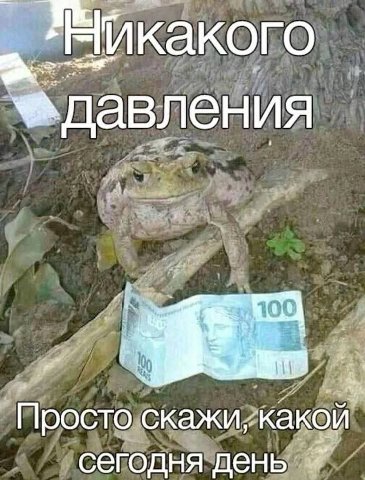 АЧИкакого давления a скажихкакой” сегодня день.