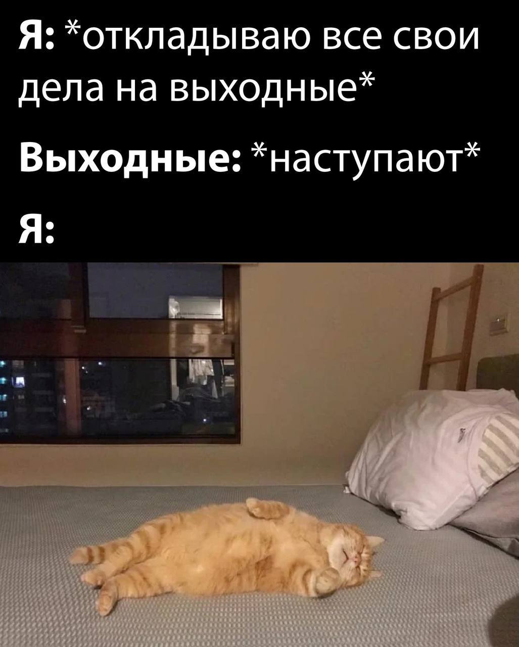 Я: все свои дела на выходные* Выходные: *наступают* Я: