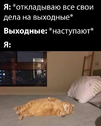 Я: все свои дела на выходные* Выходные: *наступают* Я: