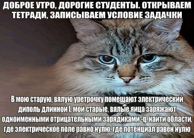 ДОБРОЕ УТРО, ДОРОГИЕ СТУДЕНТЫ. ОТКРЫВАЕМ ТЕТРАДИ, ЗАПИСЫВАЕМ УСЛОВИЕ ЗАДАЧКИ В мою старую, вялую уретрочеу помещают электрический длинной мои старые, вялые яица одноименными отрицательными зарядиками 