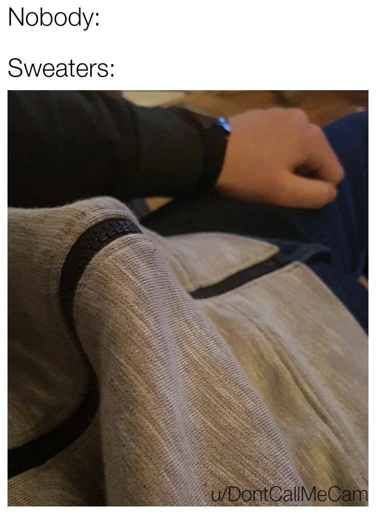 Nobody: Sweaters: