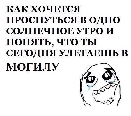 КАК ХОЧЕТСЯ ПРОСНУТЬСЯ В ОДНО СОЛНЕЧНОЕ УТРО И ПОНЯТЬ, ЧТО ТЫ СЕГОДНЯ УЛЕТАЕШЬ В МОГИЛУ