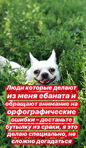 Люди которые делают 4 Из меня ебаната и ‘обращаютвниманиена орфографические ‚ошибки достаньте бутылку из сраки, я это делаю специально, не сложно догадаться