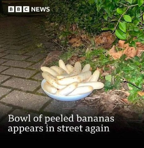 News Bowl of peeled bananas appears in street again