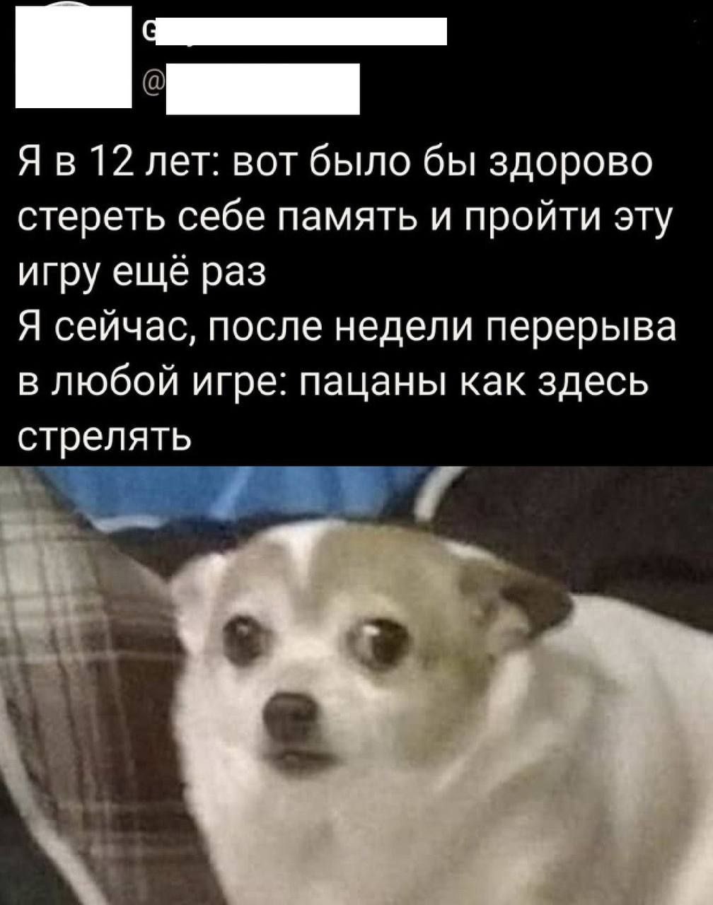 Я в 12 лет: вот было бы здорово стереть себе память и пройти эту игру ещё раз Я сейчас, после недели перерыва в любой игре: пацаны как здесь стрелять