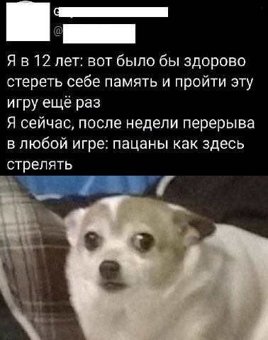 Я в 12 лет: вот было бы здорово стереть себе память и пройти эту игру ещё раз Я сейчас, после недели перерыва в любой игре: пацаны как здесь стрелять