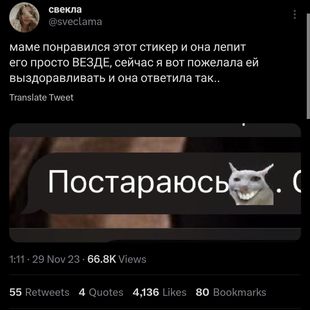 свекла маме понравился этот стикер и она лепит его просто ВЕЗДЕ, сейчас я вот пожелала выздоравливать и она ответила так.. Translate Tweet Постараюсь 66.8К 55 4 4136 80