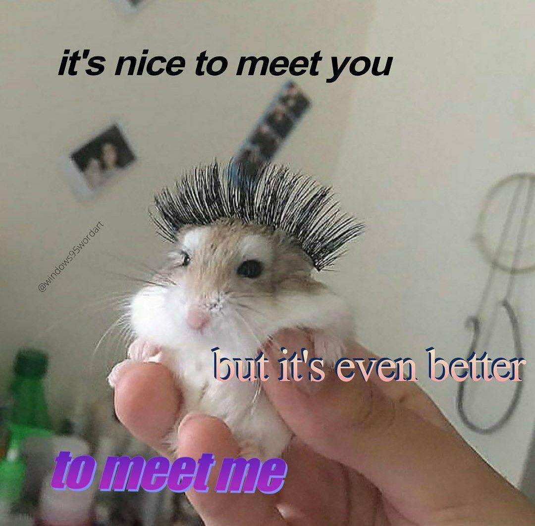 it's nice to you 213 even =tte a