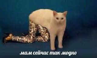 ‚мам сейчас так модно