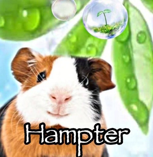 |5