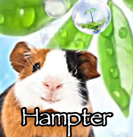 |5