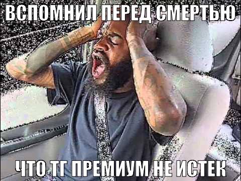 aye ПРЕМИУМ НЕ arg