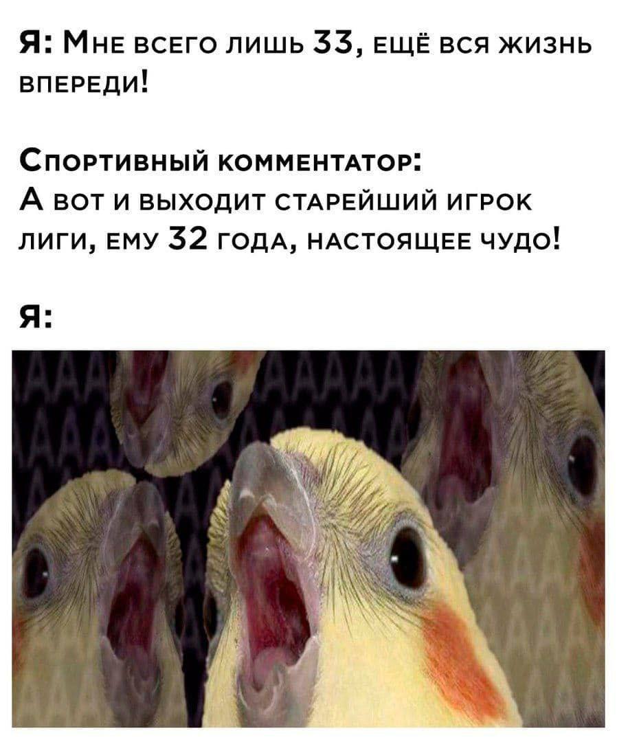 Я: MHE всЕГО ЛИШЬ 33, ЕЩЁ ВСЯ ЖИЗНЬ ВПЕРЕДИ! СпорРТИВНЫЙ КОММЕНТАТОР: А ВОТ И ВЫХОДИТ СТАРЕЙШИЙ ИГРОК ЛИГИ, ЕМУ 32 ГОДА, НАСТОЯЩЕЕ ЧУДО! К