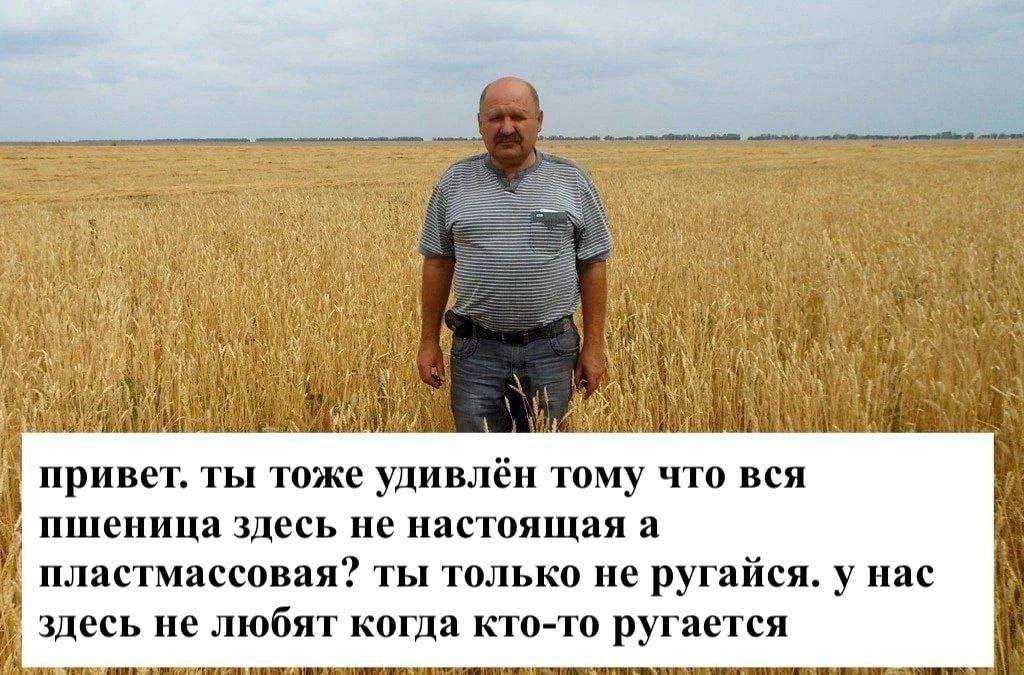 Gay i 4 2 he привет. ты тоже удивлён тому что вся пшеница здесь не настоящая а пластмассовая? ты только не ругайся. у нас здесь не любят когда кто-то ругается