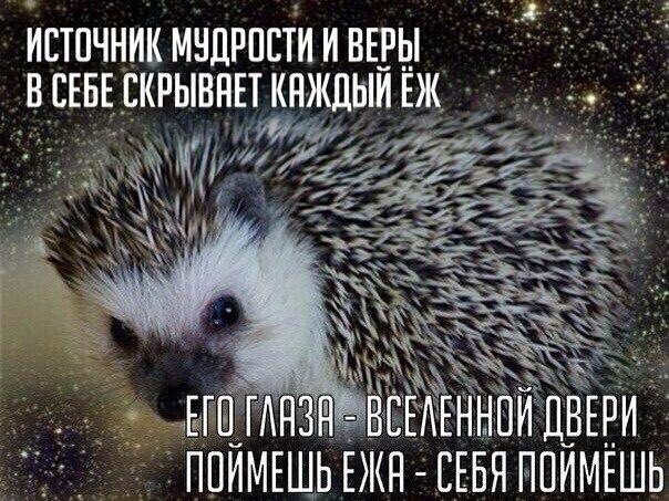 ИСТОЧНИК МЗДРОСТИ И ВЕРЫ СЕБЕ СКРЫВАЕТ КАЖДЫЙ EDK ВСЕЛЕННОЙ ПОИМЕШЬ СЕБЯ ПОИМЕШЬ
