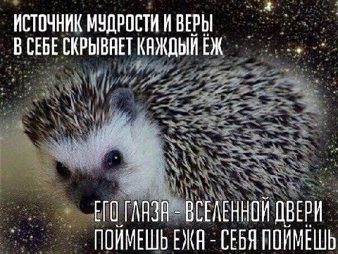 ИСТОЧНИК МЗДРОСТИ И ВЕРЫ СЕБЕ СКРЫВАЕТ КАЖДЫЙ EDK ВСЕЛЕННОЙ ПОИМЕШЬ СЕБЯ ПОИМЕШЬ
