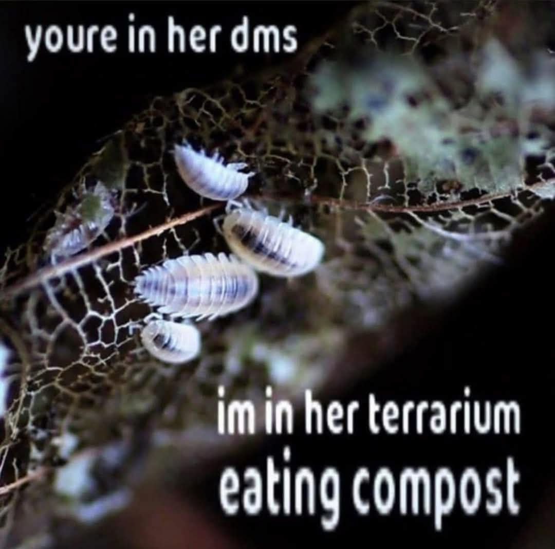 youre in her dms imin her terrarium eating compost