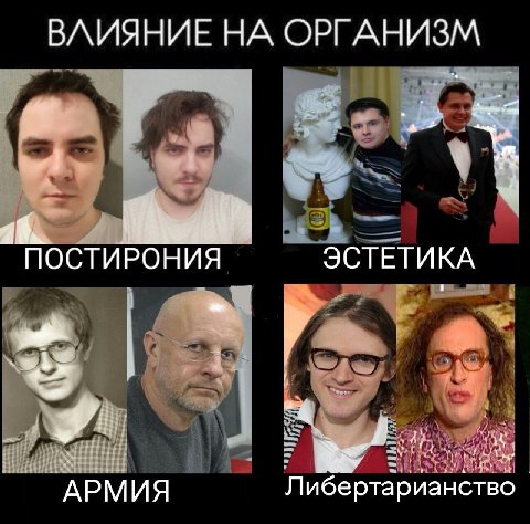 ВЛИЯНИЕ НА ОРГАНИЗМ 5 ПОСТИРОНИЯ ЭСТЕТИКА АРМИЯ Либертарианство