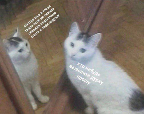 a A? 4 a 7 А ber
