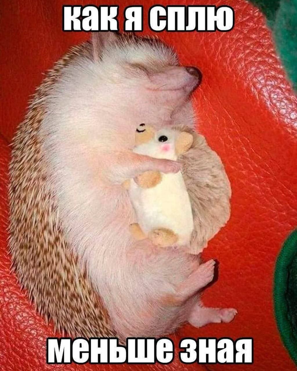 Kak сплю as У меньше зная