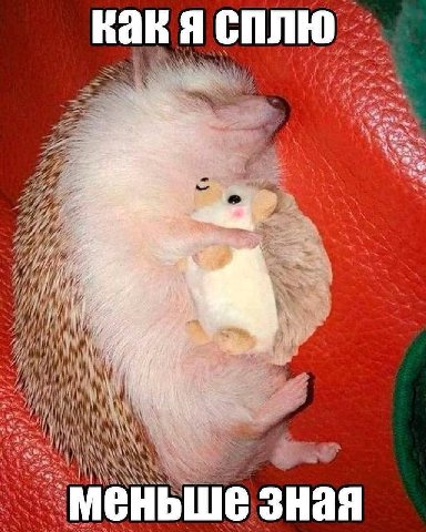 Kak сплю as У меньше зная